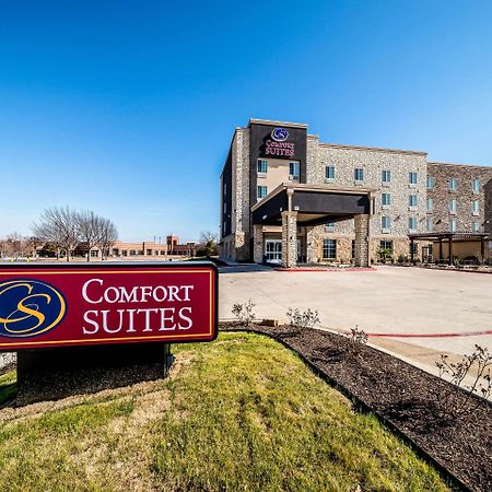 Comfort Suites Grand Prairie - Arlington North Dış mekan fotoğraf