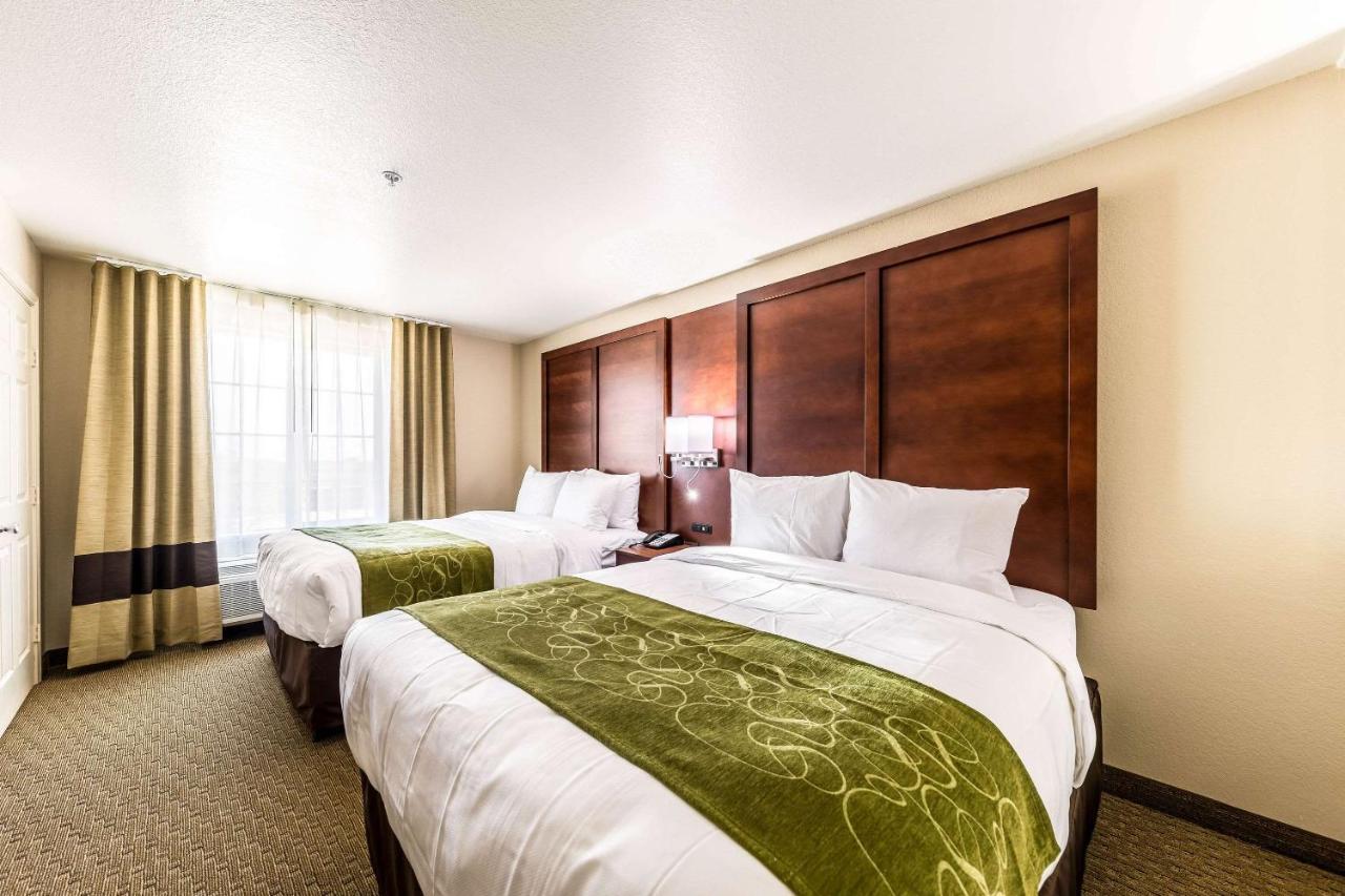 Comfort Suites Grand Prairie - Arlington North Dış mekan fotoğraf